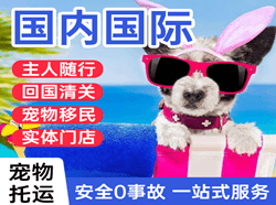 抚远东极航空物流国际宠物托运 【国
